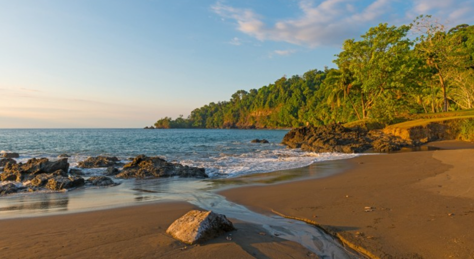 Corcovado National Park, Osa Peninsula, Puntarenas, Costa Rica